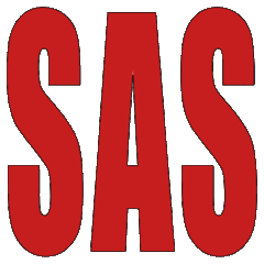 Sanchez Art Services, llc